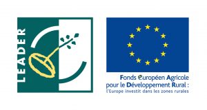 Leader Europe